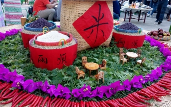 勐远仙境新米节获媒体广泛关注