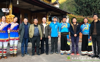 《悬壶岭南》：走进金碧制药，讲述“彝族神药”故事